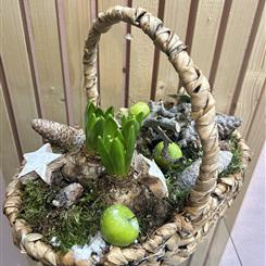Hyacinth basket