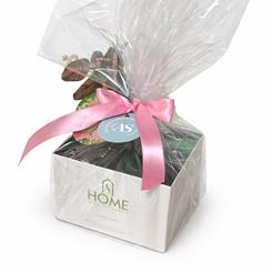 Home scented 3 wick candle